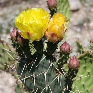 Meet your Posher, Kerr